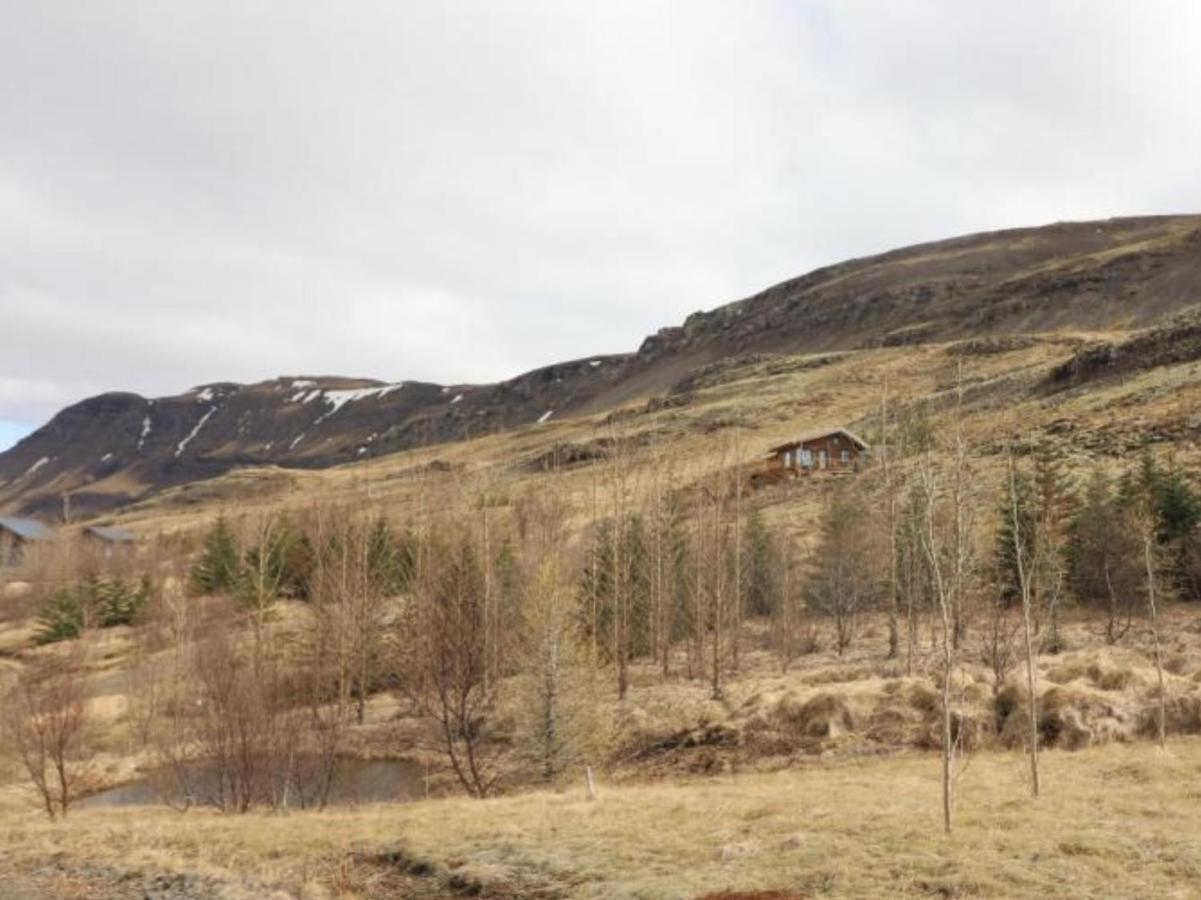 Icelandic Lake House Akranes Dış mekan fotoğraf